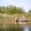 Buteo Photo Gear Escondite Flotante Grebe II – Carpa de camuflaje flotante con diseño de juncos