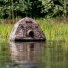 Buteo Photo Gear Escondite Flotante Grebe II – Carpa de camuflaje flotante con diseño de juncos