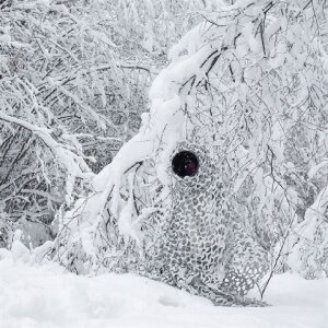 Red de camuflaje 3D Buteo Photo Gear Camo Schnee 1,5x3 m