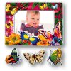 Vinilo decorativo Mariposas