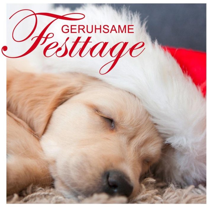 Mini tarjeta perro dormido