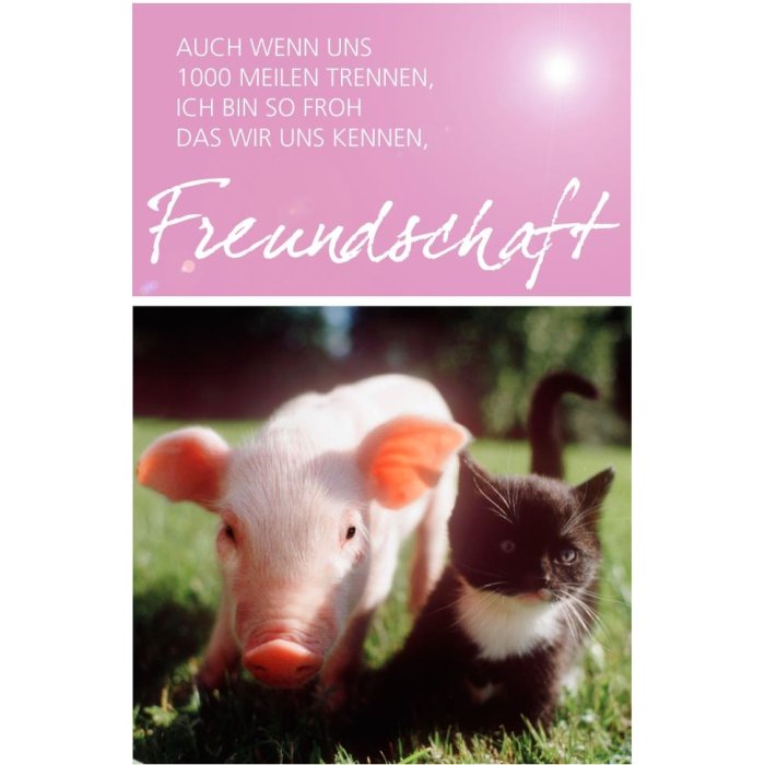 Tarjeta Amistad Cerdito