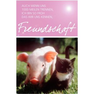 Tarjeta Amistad Cerdito