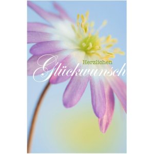 Tarjeta Artebene Folio-Felicidades-Anémona