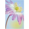Tarjeta Artebene Folio-Felicidades-Anémona