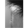 Tipo de tarjeta Embossing-Mourning-Horizon