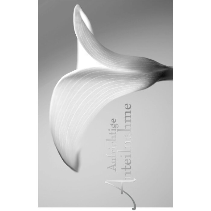 Nivel artístico Tarjeta Emboss-Mourning-Calla-Participation