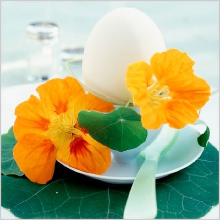 Servilletas de Papel 33x33 cm - Huevo-Nasturtium
