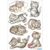herma etiquetas decorativas decoración Droll Kitten 3 hojas