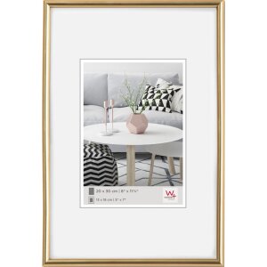 Galeria marco plastico 50x60 oro