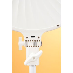 Falcon Eyes 290880 Dispositivo de alta calidad con diseño robusto y óptica precisa