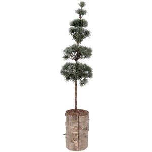 Árbol de decoración Clayre & Eef 50841...