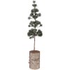 Árbol de decoración Clayre & Eef 50841 14x14x60 cm Verde y Marrón