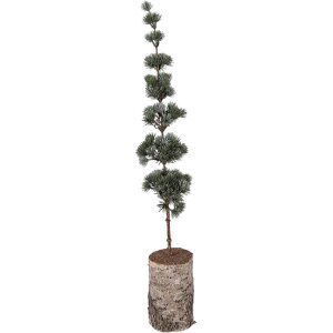Árbol decorativo Clayre & Eef 50842 15x12x80...