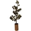 Árbol de decoración Clayre & Eef 50843 con LED 20x17x60 cm Verde Marrón
