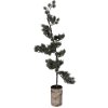 Árbol decorativo Clayre & Eef 50845 con LED 30x35x100 cm Verde y Marrón
