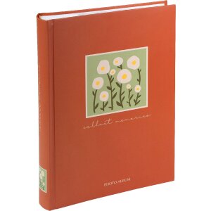 Álbum de Fotos Memo Aura Goldbuch 300 Fotos 10x15 cm entrega con clasificación por colores