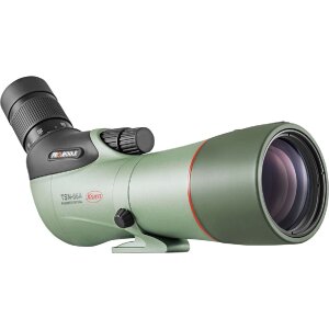 Kowa TSN-66A Spotting Scope con lente de fluorita de 66 mm, impermeable y lleno de nitrógeno