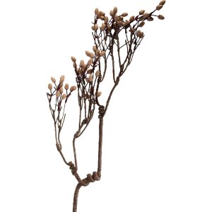 Decoración ramo en tonos marrones naturales,...