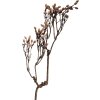 Decoración ramo en tonos marrones naturales, 30x4x85 cm
