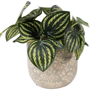 Maceta decorativa Clayre & Eef Grau-Beige Ø 14x13 cm