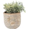 Maceta Clayre & Eef 6CE2409S Gris-Beige Ø 10x9 cm Cerámica Interior