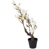 Árbol de magnolia Clayre & Eef 16x14x60 cm blanco-marrón