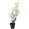 Árbol de magnolia Clayre & Eef 16x14x60 cm blanco-marrón