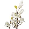 Árbol de magnolia Clayre & Eef 16x14x60 cm blanco-marrón