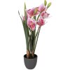 Planta artificial Cattleya Hybrida Rosa Grün 14x14x55 cm Clayre & Eef