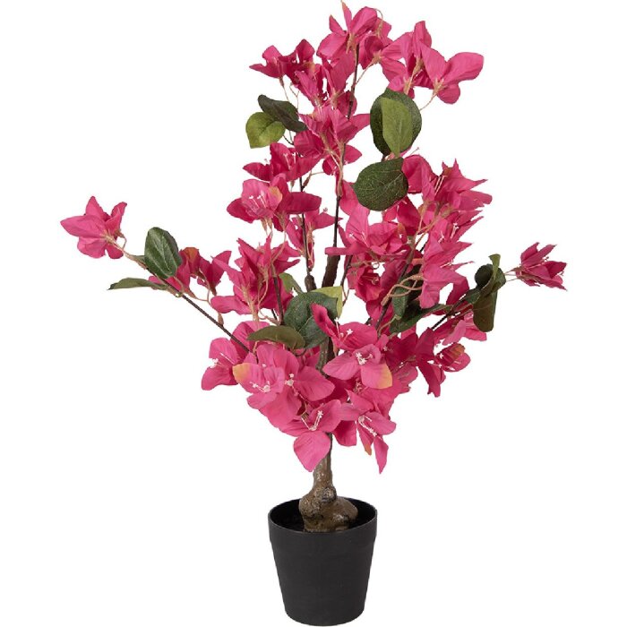 Árbol de decoración Bougainvillea Clayre & Eef Rosa Verde 25x25x60 cm
