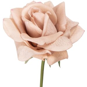 Flor artificial de rosa Clayre & Eef Beige-Verde 10x10x35 cm