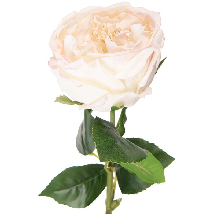 Flor de arte Clayre & Eef Rosa Blanca 9x9x43 cm con hojas verdes