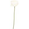 Flor artificial rosa Clayre & Eef 9x9x35 cm Blanco-Verde