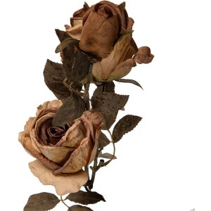 Decoración rama con flores Clayre & Eef Beige-Verde 12x12x70 cm