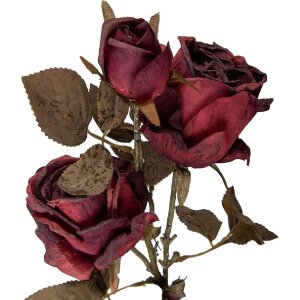 Decoración rama con flores Clayre & Eef Rojo-Verde 12x12x70 cm