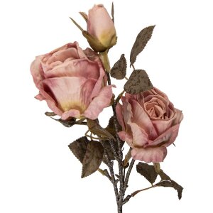 Decoración de ramo con flores Clayre & Eef Rosa y Verde 12x12x70 cm