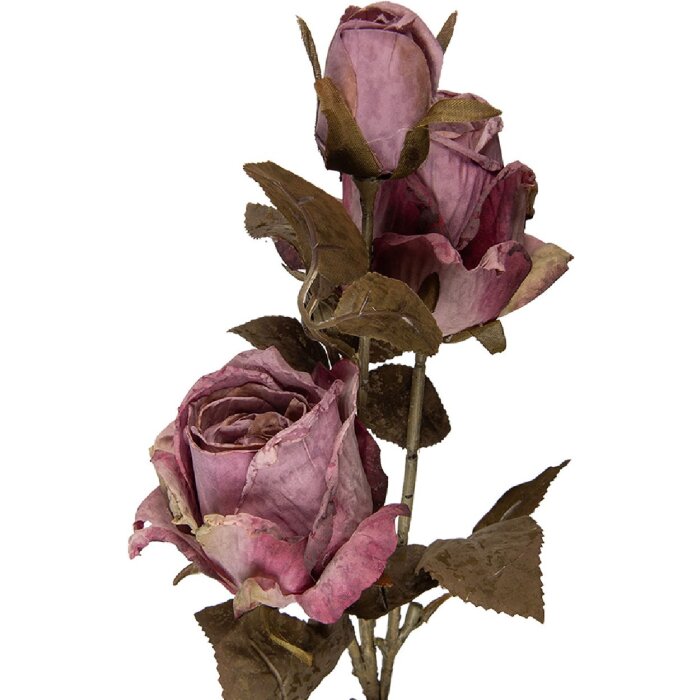 Decoración Ramo con Flores Clayre & Eef Violeta-Verde 12x12x70 cm