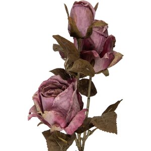 Decoración Ramo con Flores Clayre & Eef Violeta-Verde 12x12x70 cm