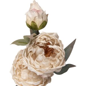 Decoración Clayre & Eef 5PL0242W Ramo con Flores Blanco-Verde 16x16x72 cm