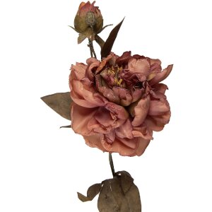 Decoración rama con flores Clayre & Eef Rosa Verde 14x17x73 cm