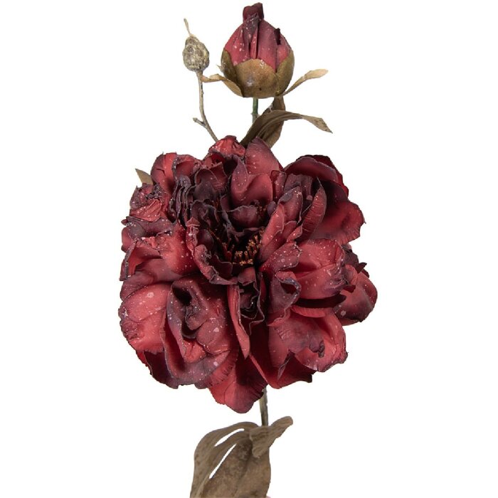 Decoración floral Clayre & Eef 5PL0243R 14x17x73 cm