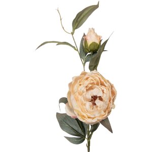 Ramo de flores Clayre & Eef Beige Grün 14x14x83 cm