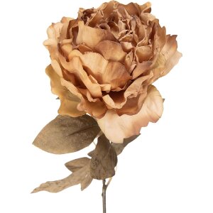 Flor artificial de clavel de Pentecostés Clayre & Eef 14x14x70 cm Beige-Verde