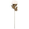 Flor artificial de buganvilla Clayre & Eef 5PL0247W blanco-verde 14x14x70 cm