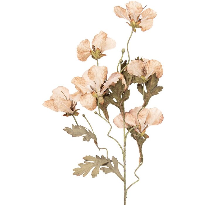 Decoración rama con flores Clayre & Eef Beige-Verde 8x20x82 cm