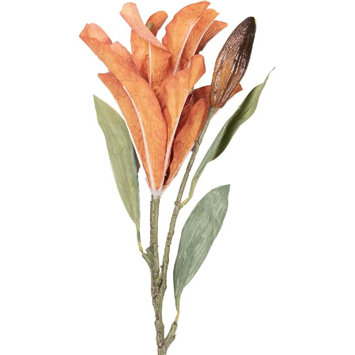 Ramo decorativo de flores Clayre & Eef naranja y verde 12x16x88 cm