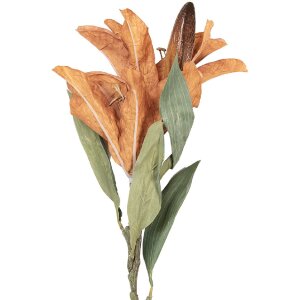 Decoración ramo con flores Clayre & Eef...