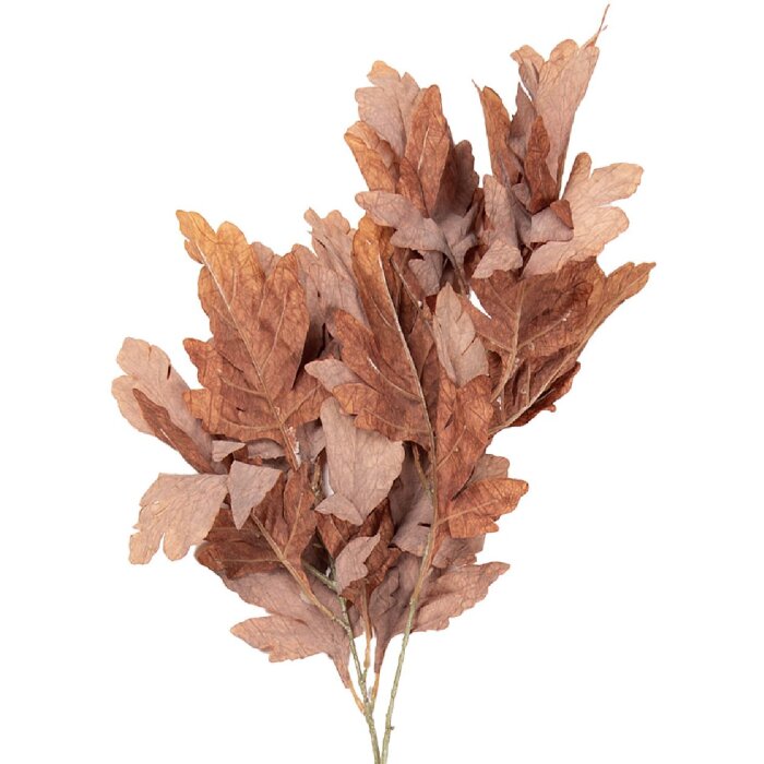 Decoración ramo Clayre & Eef 5PL0253CH marrón-verde 15x22x104 cm