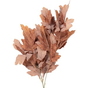 Decoración ramo Clayre & Eef 5PL0253CH marrón-verde 15x22x104 cm